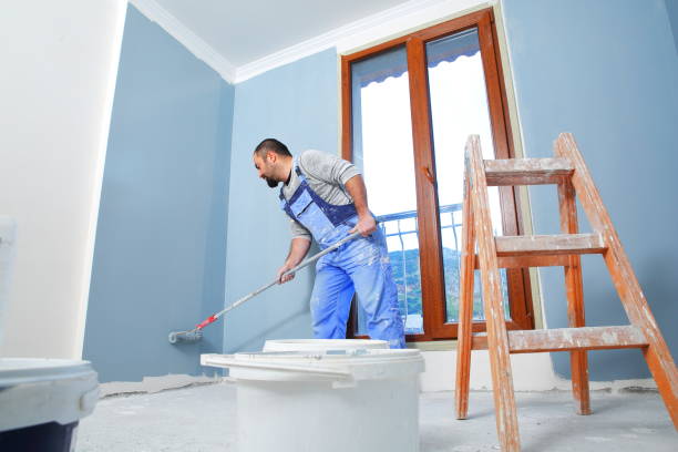 Best Emergency Mold Remediation  in Douglas, AZ