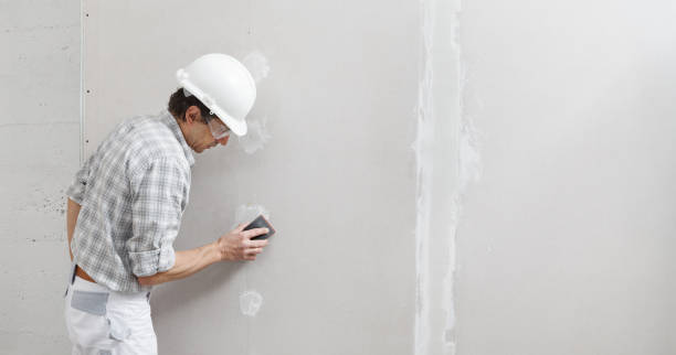 Mold Remediation for Vacation Homes in Douglas, AZ