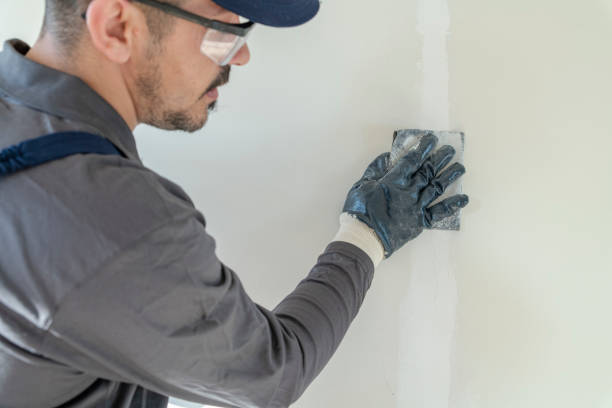 Best Airborne Mold Testing  in Douglas, AZ