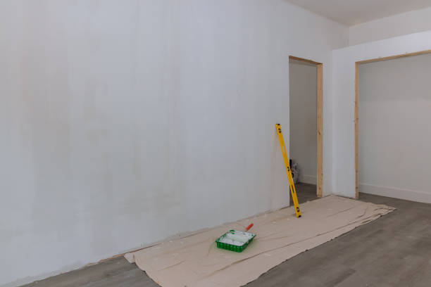 Trusted Douglas, AZ Mold Removal Experts