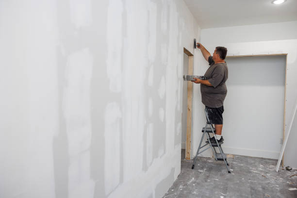 Best Real Estate Mold Inspection  in Douglas, AZ