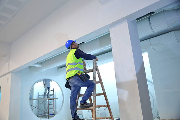 Best Biohazard Mold Removal  in Douglas, AZ