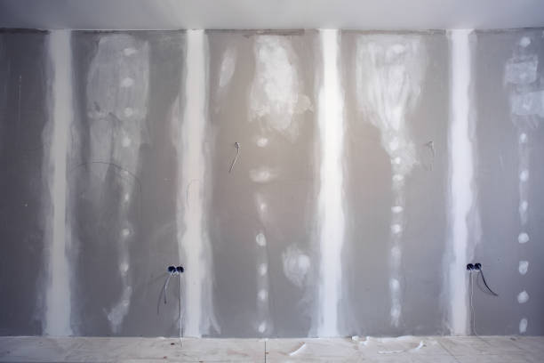  Douglas, AZ Mold Removal Pros